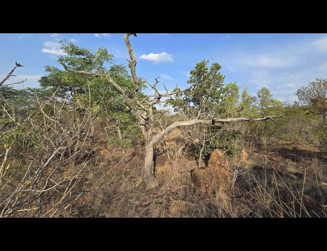 2,500M² VACANT LAND FOR SALE IN VERLOREN ESTATE